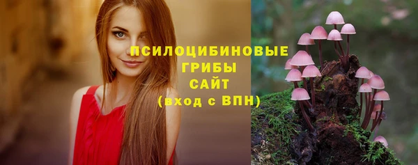 индика Остров
