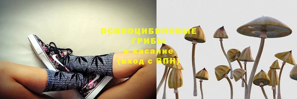 крисы Осинники