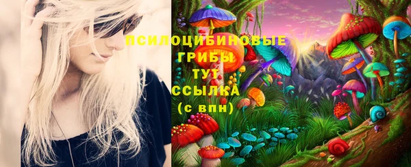 кокс Няндома