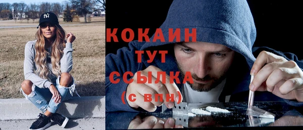 крисы Осинники