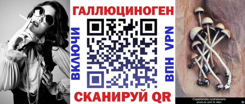 Псилоцибиновые грибы Cubensis  дарк нет как зайти  Сафоново  где купить наркоту 